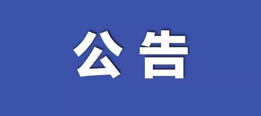 新澳2025正版资料大全与精选解析，落实执行的深度探讨