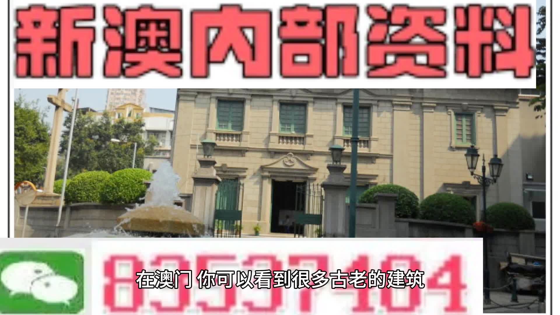 2025新澳门精准正版免费资料大全与AI智能解释落实的未来展望