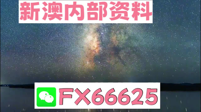 新澳天天彩资料大全一肖精选解析解释落实