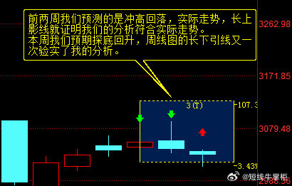 关于一肖一码一中的解析与落实策略，迈向精准预测之路的探讨（精选解析解释落实）