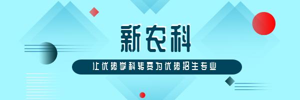 高考教育部最新通知，改革措施与未来展望