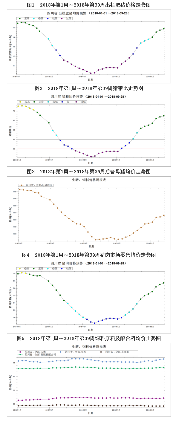 今日小猪价的最新价格动态及其影响因素