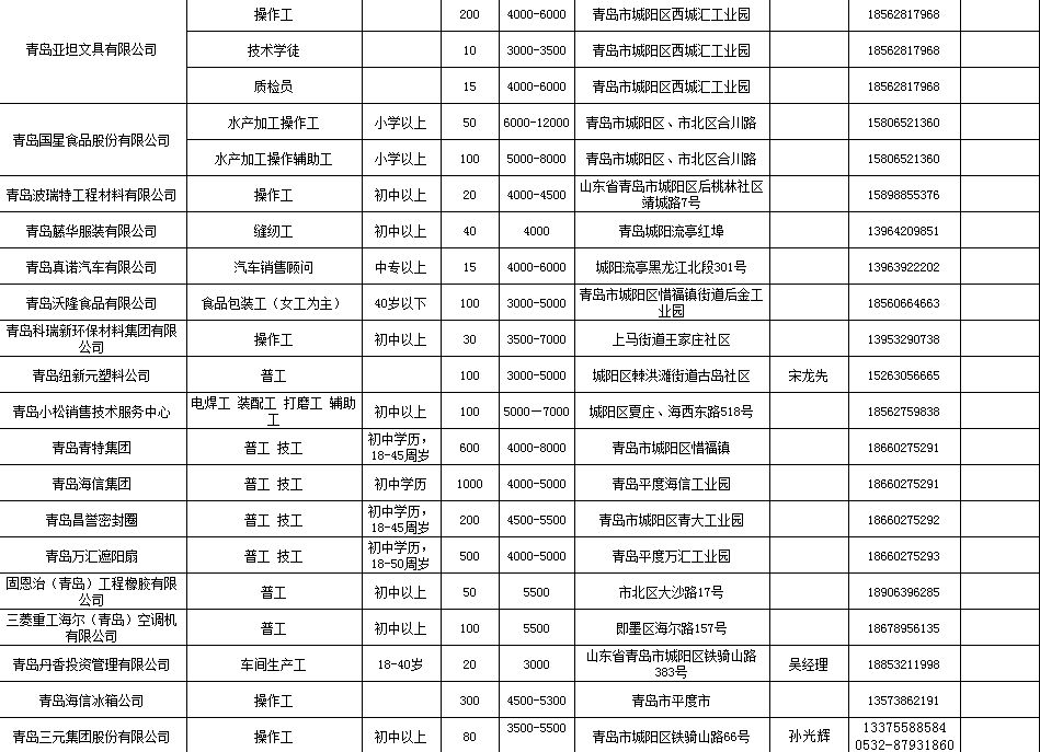 山东省招聘最新信息概览