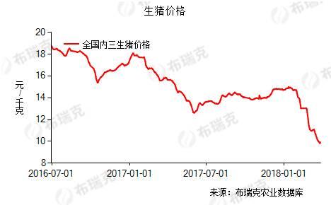 今日美国猪价最新价格分析与展望