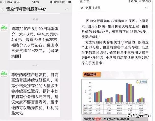 关于近期毛鸡价格走势分析——以8月最新价格为例