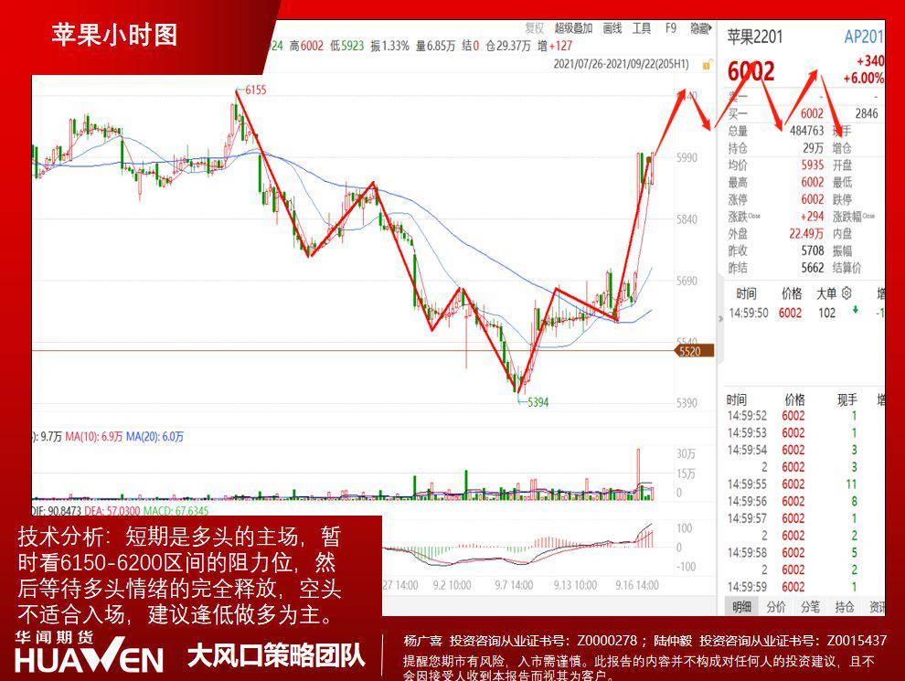 今日全国最新猪价广西——市场走势与影响因素分析