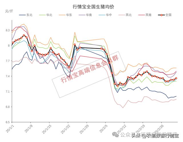 全国猪价格表最新，深度分析与预测