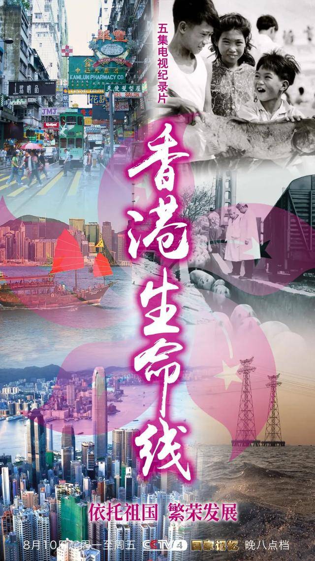 香港电视剧2019最新动态，创新与发展的繁荣景象