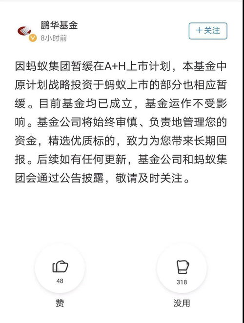 蚂蚁战配基金最新信息解析